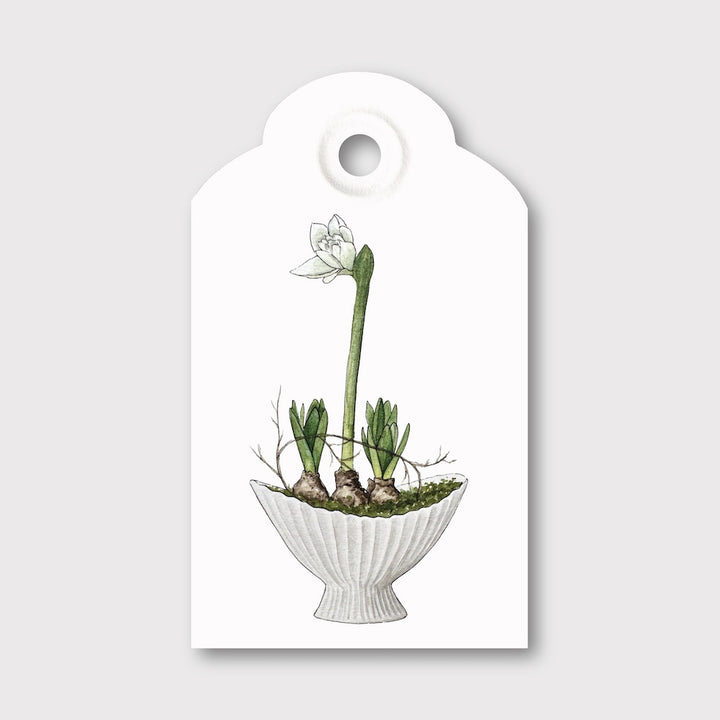 „Amaryllis" Geschenkanhänger