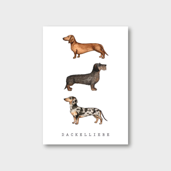 „Dackelliebe“ Postkarte