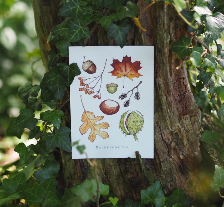 „Naturschätze“ Postkarte