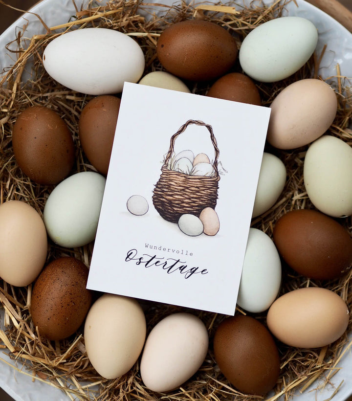 „Osterkörbchen“ Postkarte